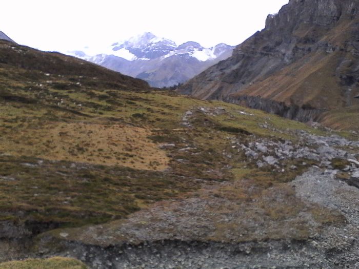 IMG_20201022_171049.jpg