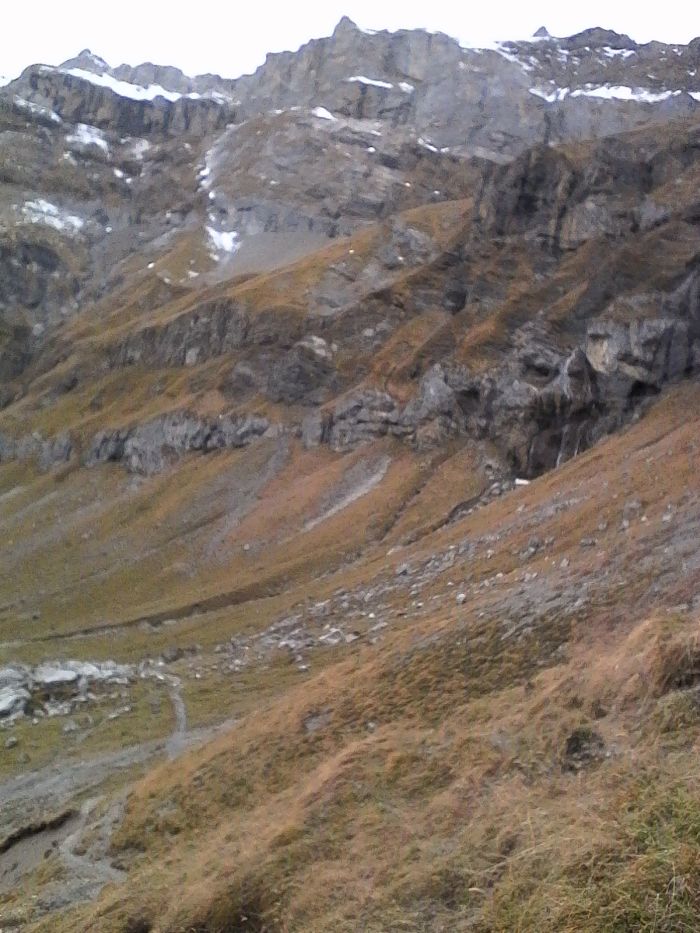 IMG_20201022_171100.jpg