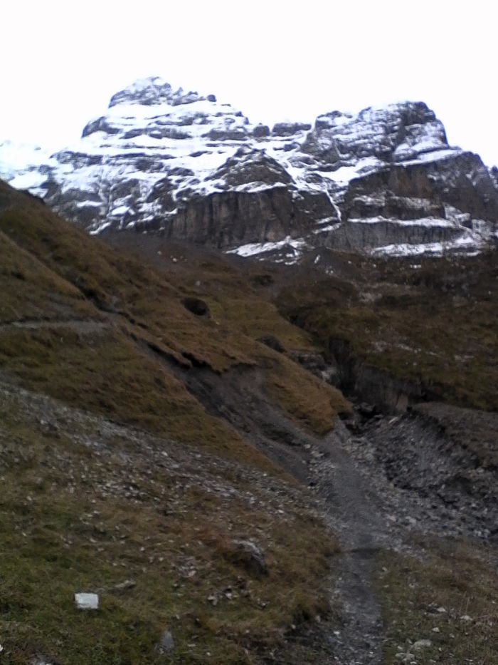 IMG_20201022_171340.jpg