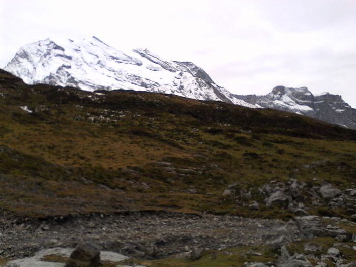 IMG_20201022_171350.jpg
