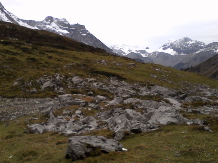 IMG_20201022_171400.jpg