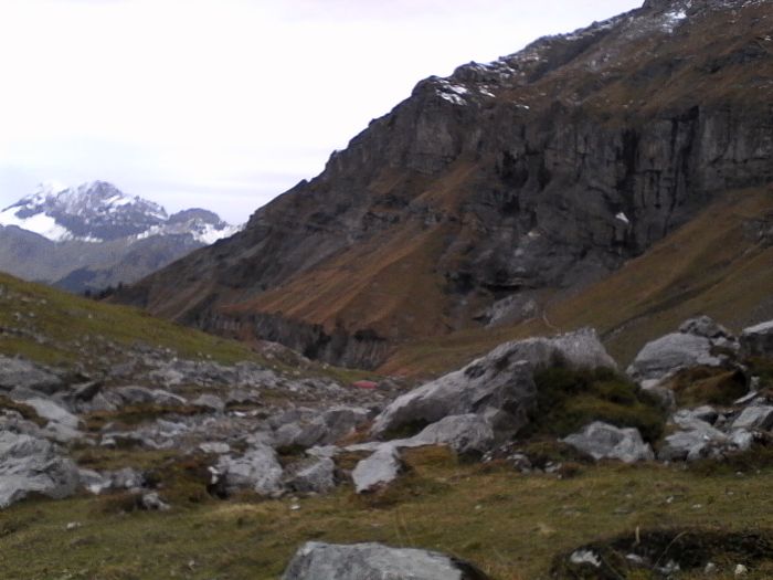 IMG_20201022_171410.jpg