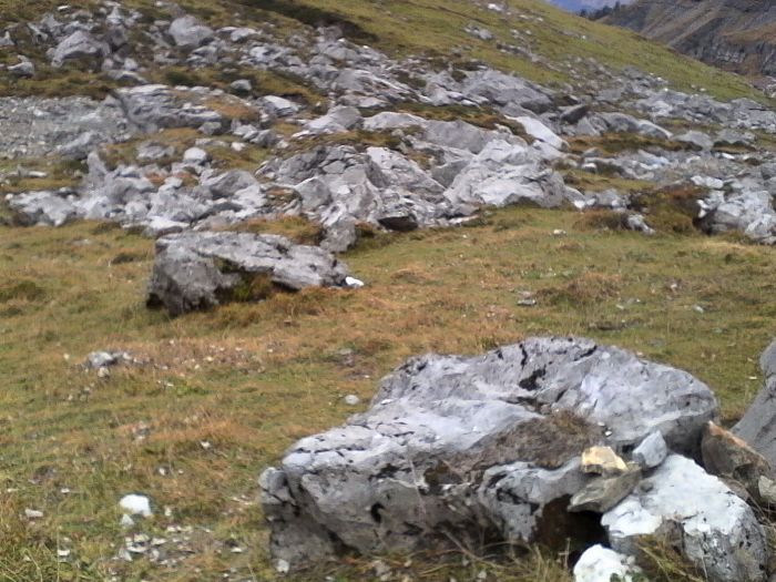 IMG_20201022_171422.jpg