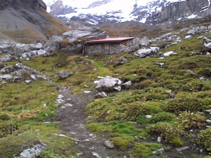 IMG_20201022_172028.jpg