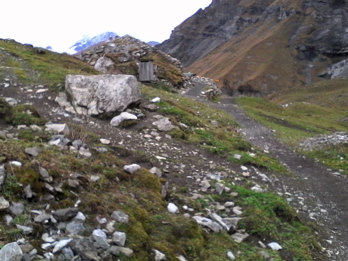 IMG_20201022_172058.jpg