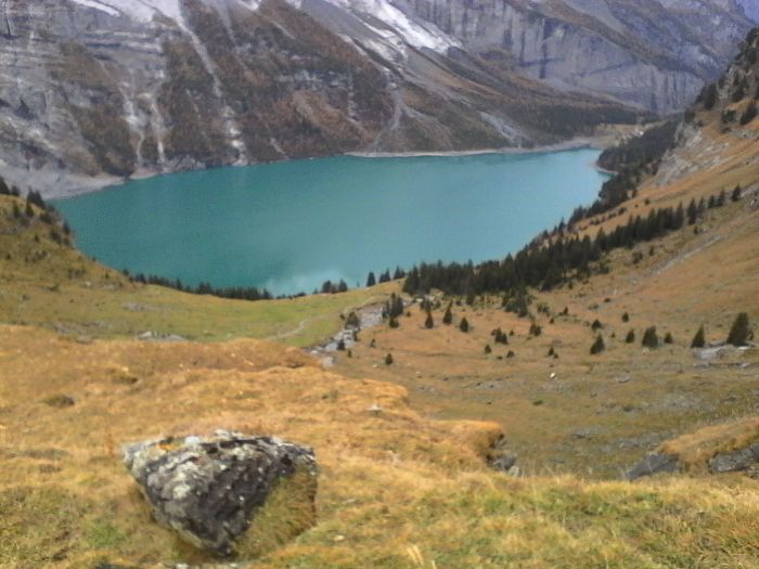 IMG_20201022_172352.jpg