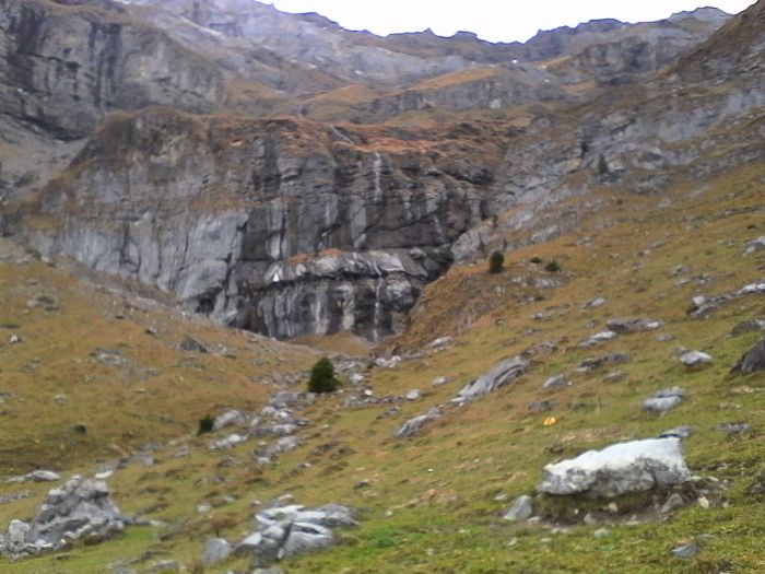 IMG_20201022_174214.jpg