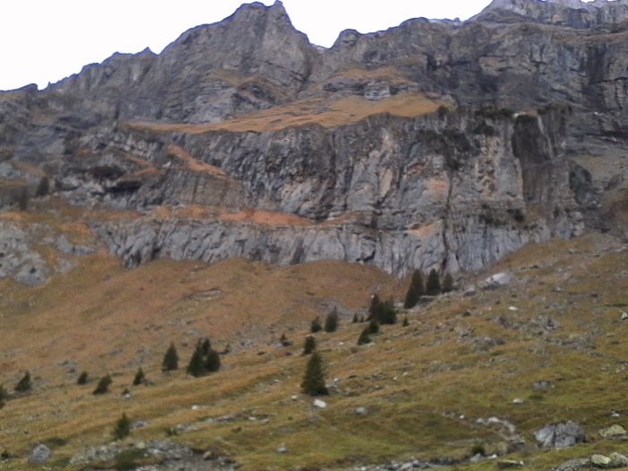 IMG_20201022_174223.jpg