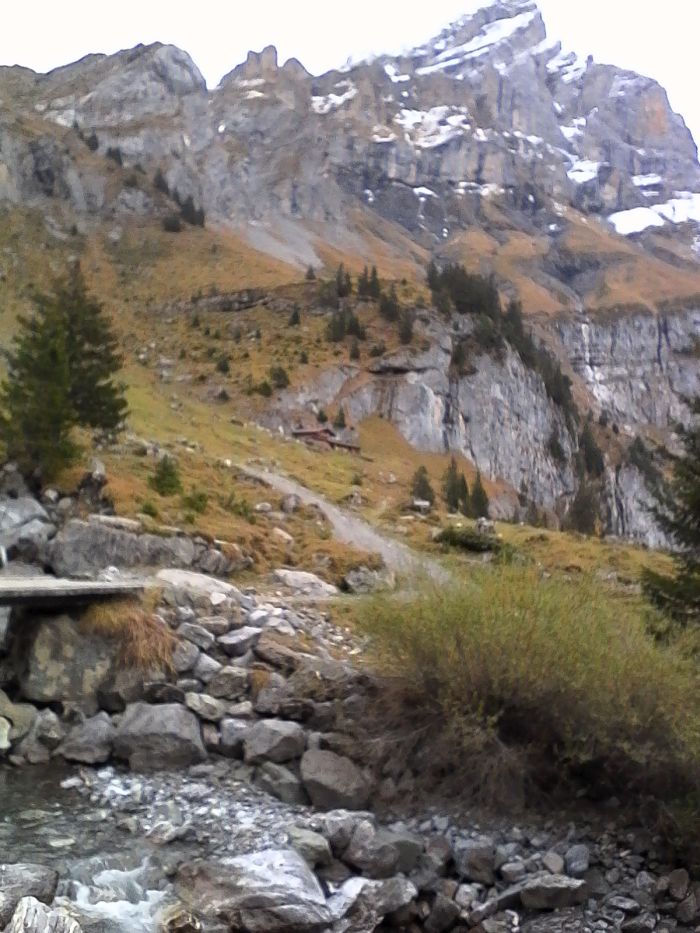 IMG_20201022_174647.jpg