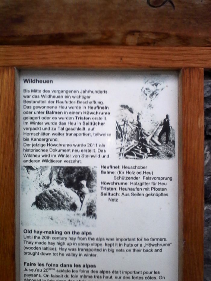 IMG_20201022_180730.jpg
