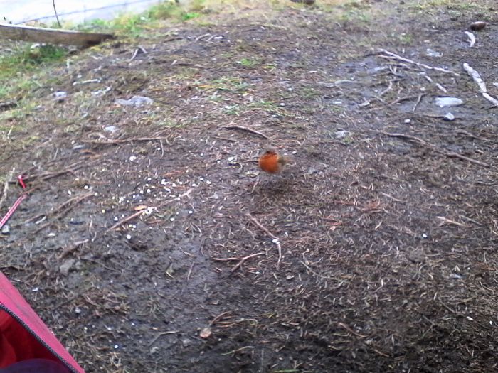 IMG_20201022_090446.jpg