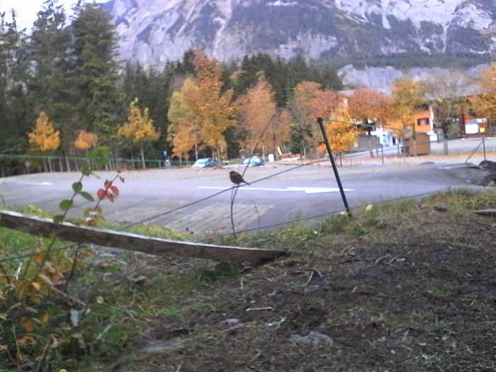 IMG_20201022_090459.jpg