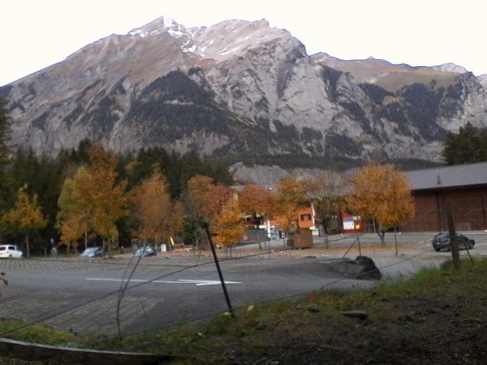 IMG_20201022_090708.jpg