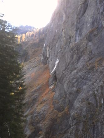 IMG_20201025_113801.jpg