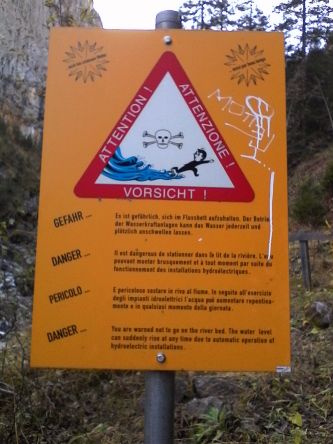 IMG_20201025_114410.jpg