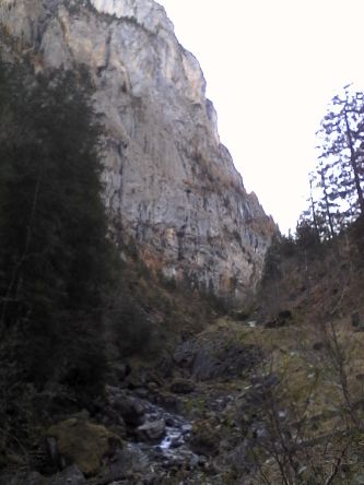 IMG_20201025_114428.jpg