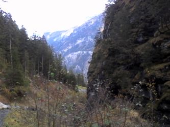 IMG_20201025_114437.jpg