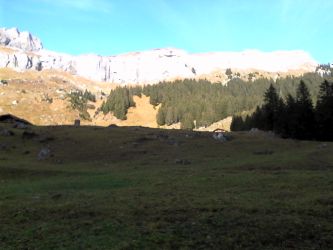 IMG_20201025_115035.jpg