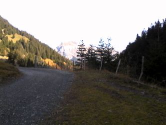 IMG_20201025_115049.jpg