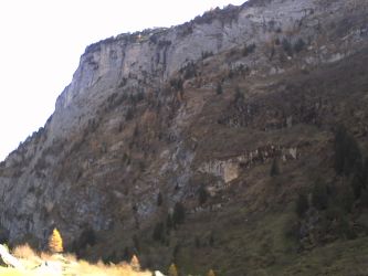 IMG_20201025_120309.jpg