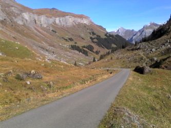IMG_20201025_121616.jpg