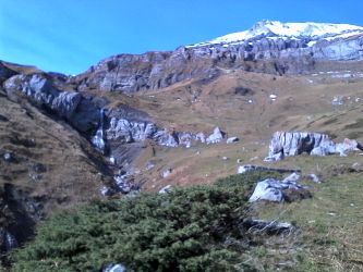 IMG_20201025_125419.jpg