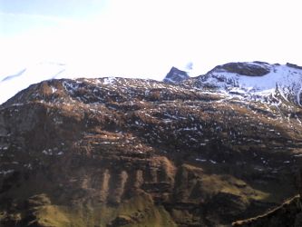 IMG_20201025_130659.jpg