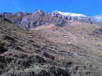 IMG_20201025_130758.jpg