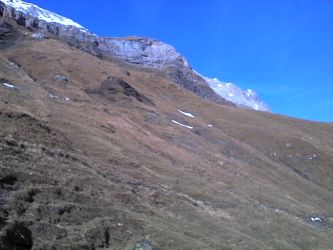 IMG_20201025_130804.jpg
