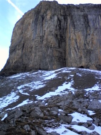 IMG_20201025_144101.jpg