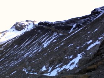 IMG_20201025_144113.jpg