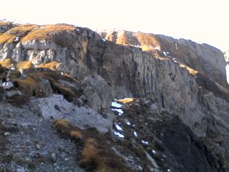 IMG_20201025_144139.jpg