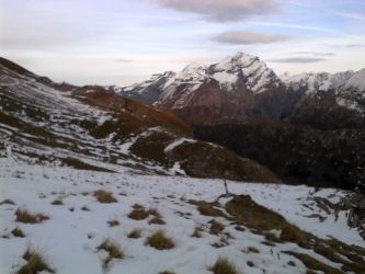 IMG_20201025_163614.jpg