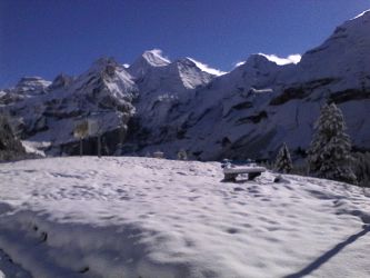 IMG_20201027_103147.jpg