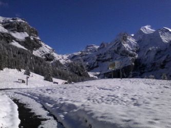 IMG_20201027_103154.jpg