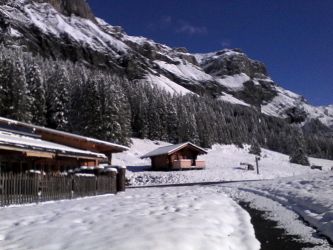 IMG_20201027_103200.jpg