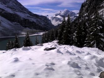 IMG_20201027_123704.jpg