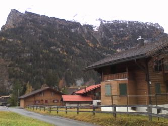 IMG_20201029_125845.jpg