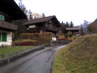 IMG_20201029_125856.jpg