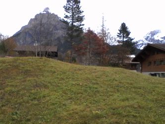 IMG_20201029_125905.jpg