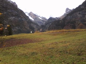 IMG_20201029_130636.jpg