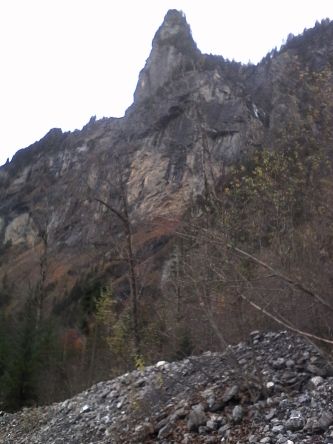 IMG_20201029_135244.jpg