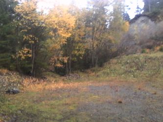 IMG_20201029_160845.jpg