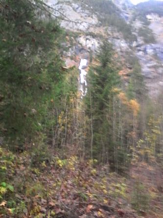 IMG_20201029_161415.jpg