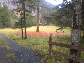 IMG_20201029_161708.jpg