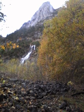IMG_20201029_161915.jpg