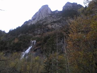 IMG_20201029_162037.jpg