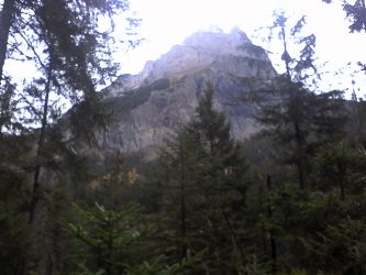 IMG_20201029_163730.jpg