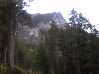 IMG_20201029_163751.jpg