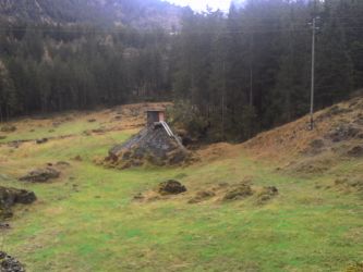 IMG_20201029_164311.jpg